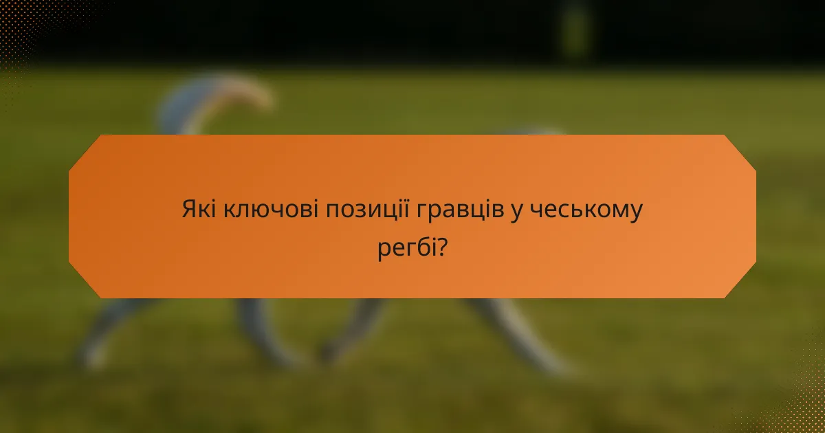 Які ключові позиції гравців у чеському регбі?